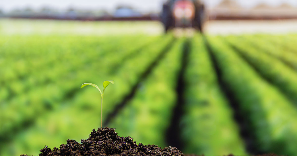 Facts about Bioheat® | Generation NEXT Energy Pros